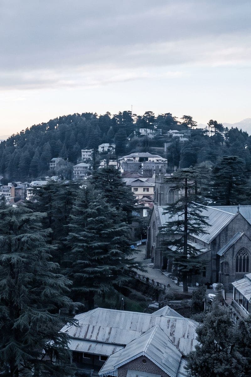 Kasauli town at dawn — tin roofs and Christ Church among deodar, above the cloud line