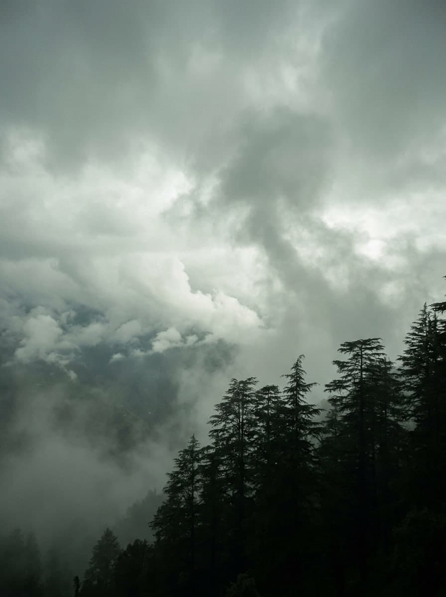 Monsoon cloud boiling up a wooded slope until the valley behind it disappears